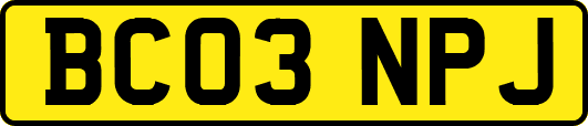 BC03NPJ