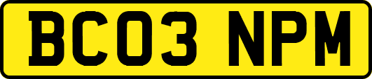 BC03NPM