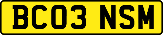 BC03NSM