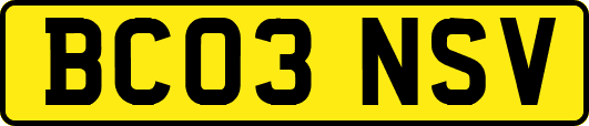 BC03NSV