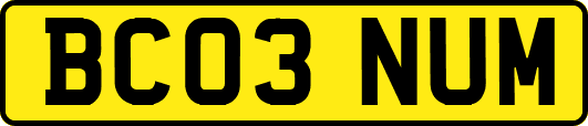 BC03NUM