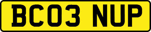 BC03NUP