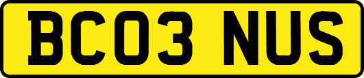 BC03NUS