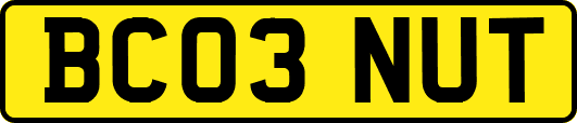 BC03NUT