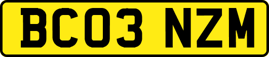 BC03NZM