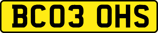 BC03OHS