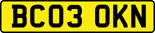 BC03OKN