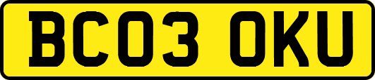 BC03OKU