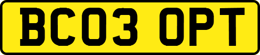 BC03OPT