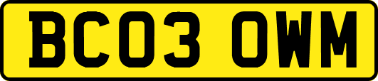 BC03OWM