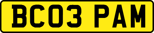 BC03PAM