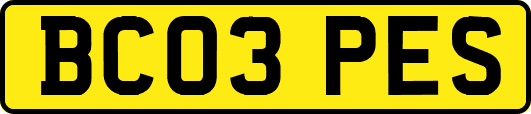 BC03PES