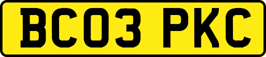 BC03PKC
