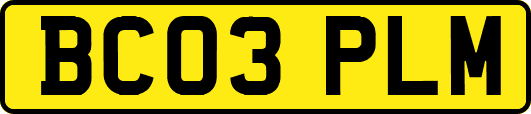 BC03PLM