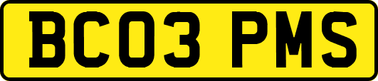 BC03PMS