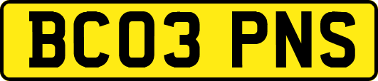 BC03PNS
