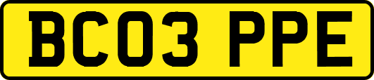 BC03PPE