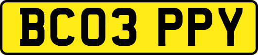 BC03PPY
