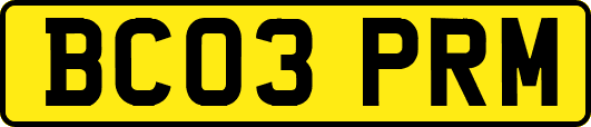 BC03PRM