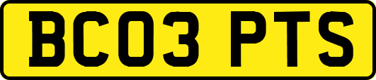 BC03PTS