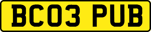BC03PUB