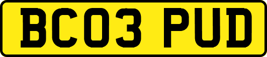 BC03PUD