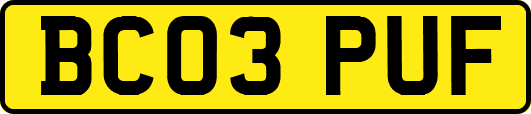BC03PUF