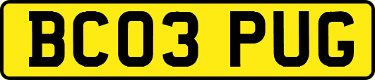BC03PUG