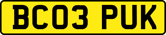 BC03PUK