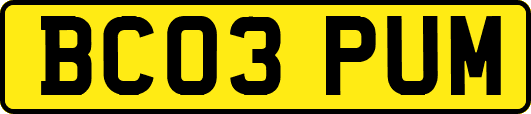 BC03PUM