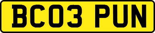 BC03PUN
