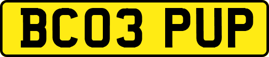 BC03PUP