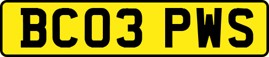 BC03PWS
