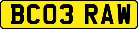 BC03RAW