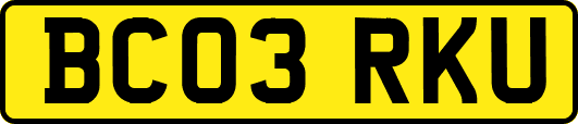 BC03RKU