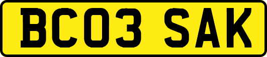 BC03SAK
