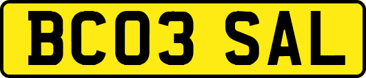 BC03SAL