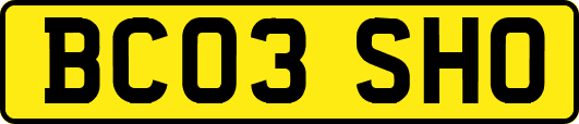 BC03SHO