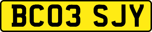 BC03SJY