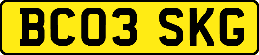 BC03SKG
