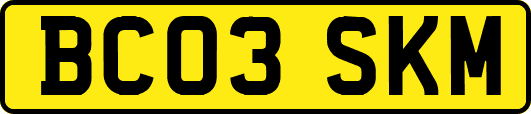 BC03SKM