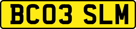 BC03SLM