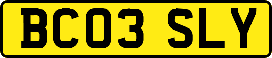 BC03SLY