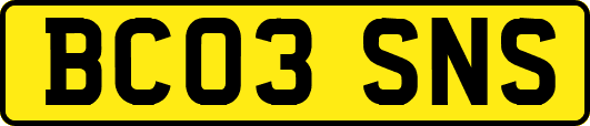 BC03SNS