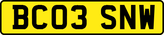 BC03SNW