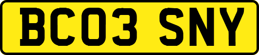 BC03SNY