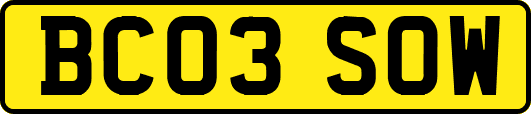 BC03SOW