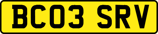 BC03SRV