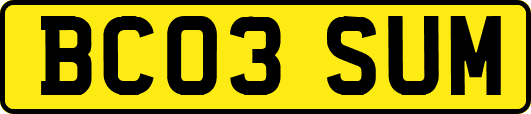 BC03SUM