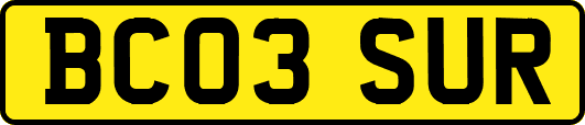BC03SUR